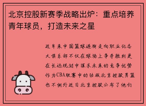 北京控股新赛季战略出炉：重点培养青年球员，打造未来之星