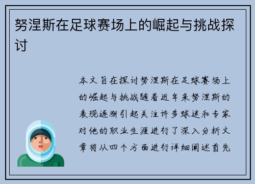 努涅斯在足球赛场上的崛起与挑战探讨
