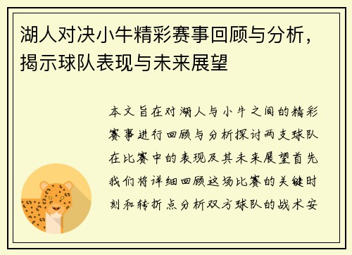 湖人对决小牛精彩赛事回顾与分析，揭示球队表现与未来展望