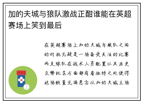 加的夫城与狼队激战正酣谁能在英超赛场上笑到最后